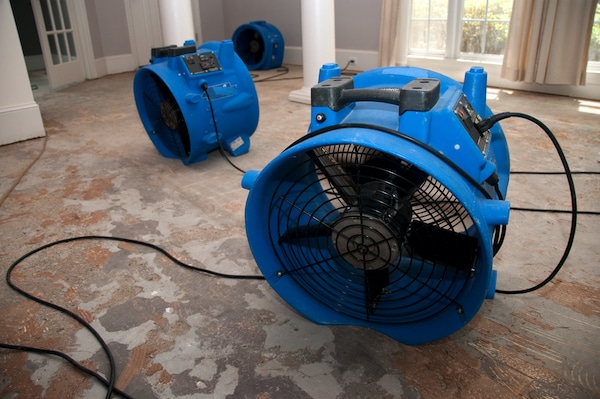 water damage lahaina hi, water damage restoration lahaina, lahaina restoration services, lahaina water damage restoration