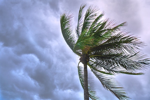 storm damage restoration, storm damage cleanup, storm board up, storm tree damage, storm damage cleanup