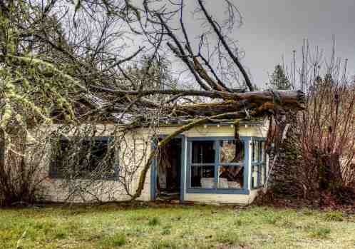 storm damage restoration, storm damage cleanup, storm board up, storm tree damage, storm damage cleanup