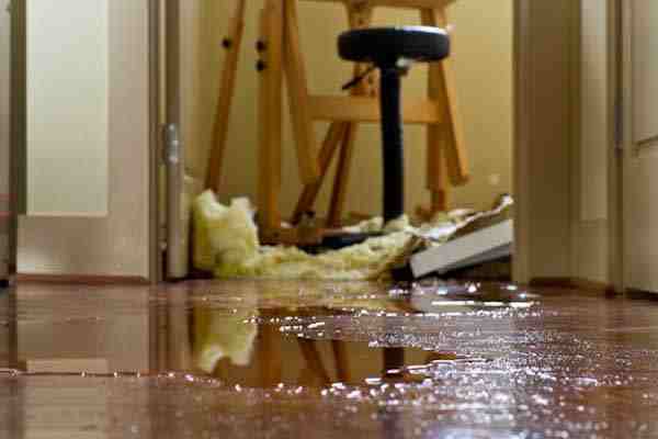 water extraction services, water extraction, water removal, water extraction maui