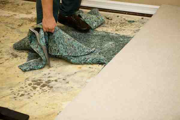 water restoration services