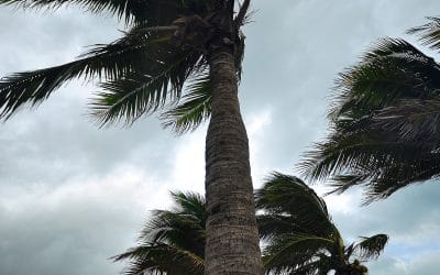 Hurricanes Can Cause Major Damages To Your Property! – Are You Prepared?